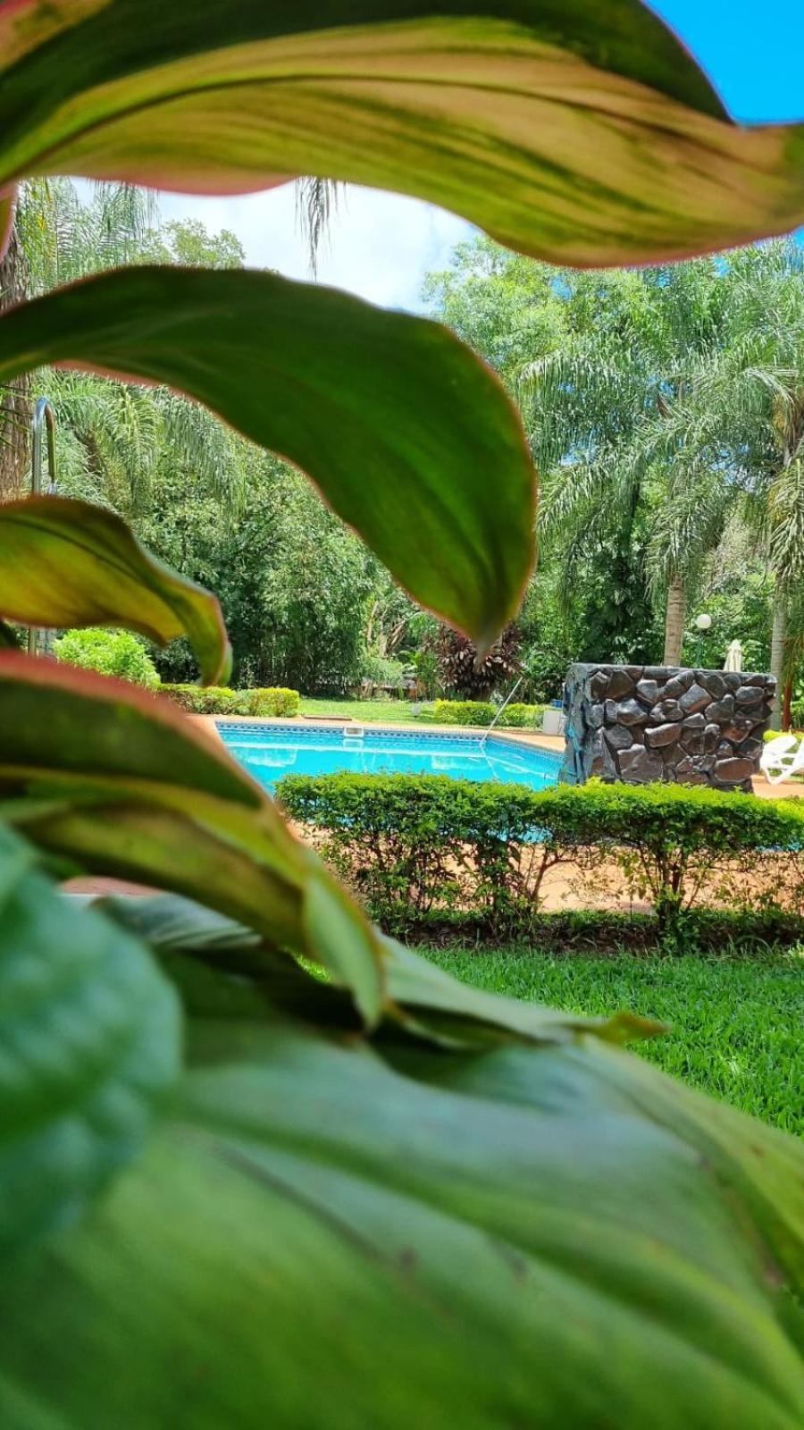 Hotel Che Roga